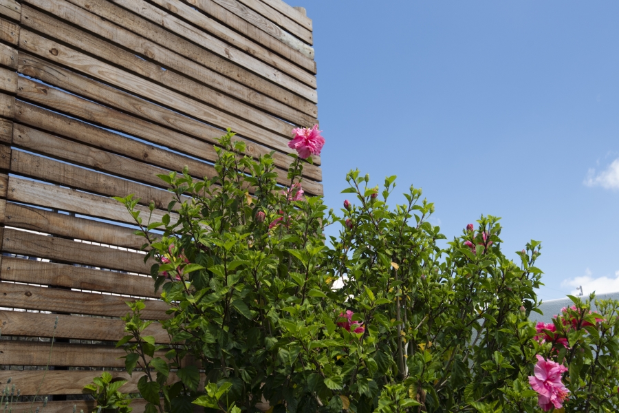 3 Bedroom Property for Sale in Laguna Western Cape